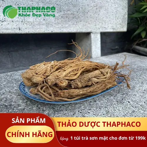 Đương Quy nguyên chất từ Thảo Dược Tấn Phát HCM