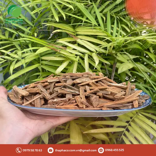 Hình ảnh Hậu Phác Khô chất lượng cao từ Thảo Dược Tấn Phát HCM