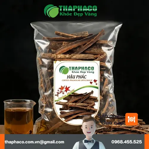 Hậu Phác Khô thái lát chuẩn bị cho quá trình chế biến