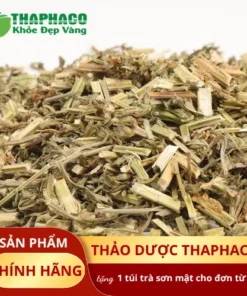Mua ích mẫu khô ở đâu uy tín? Thảo Dược Tấn Phát HCM
