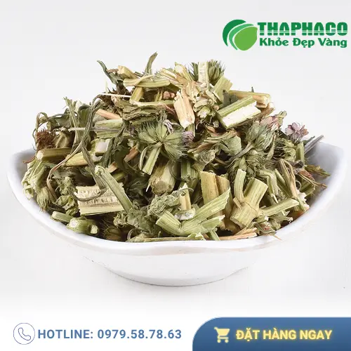 Hình ảnh ích mẫu sấy khô chất lượng cao từ Thảo Dược Tấn Phát HCM