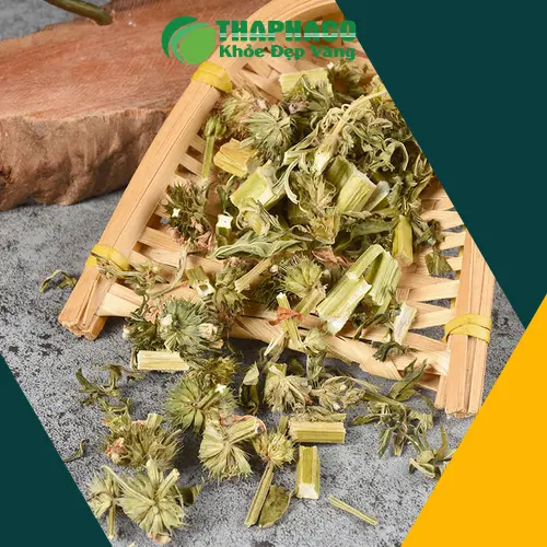 Quy trình đóng gói ích mẫu khô tại Thảo Dược Tấn Phát HCM