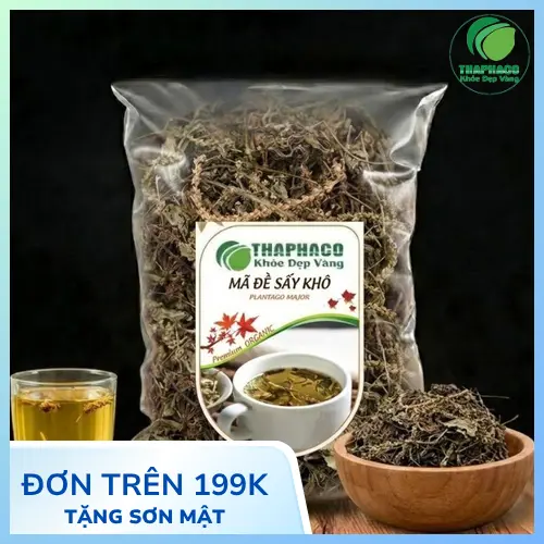 Hình ảnh cây mã đề tươi xanh