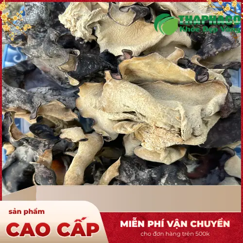 Công dụng hỗ trợ sức khỏe của mộc nhĩ