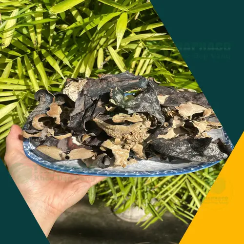 Mộc nhĩ khô là thực phẩm bổ dưỡng nhưng cần dùng đúng cách và đúng đối tượng