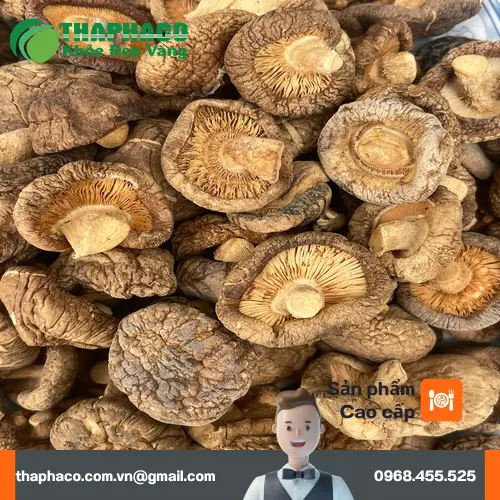 Cắt bỏ hoặc sử dụng chân nấm đông cô cứng