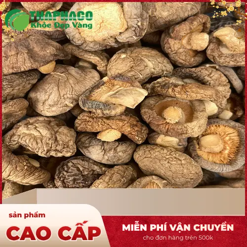Nấm đông cô - Nguyên liệu dinh dưỡng cho mọi nhà