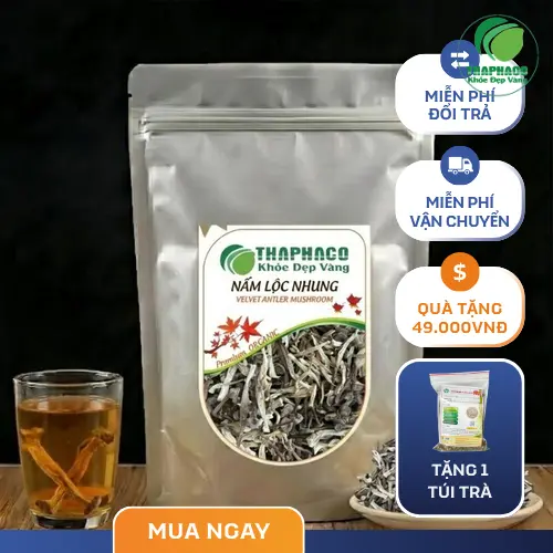 Nấm Lộc Nhung Khô tự nhiên