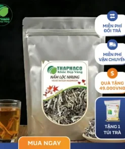 Mua Nấm Lộc Nhung Ở Đâu Tại TP.HCM Uy Tín?