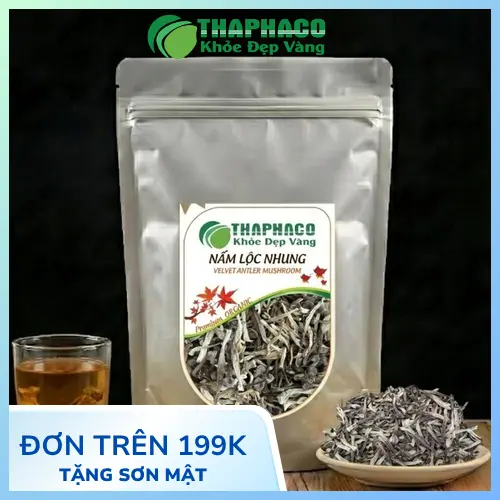 Nấm Lộc Nhung tươi