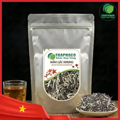 Nấm Lộc Nhung tươi trên thân cây gỗ mục