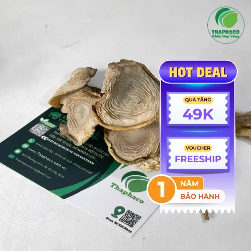 Nấm lộc nhung sấy khô chất lượng cao THAPHACO