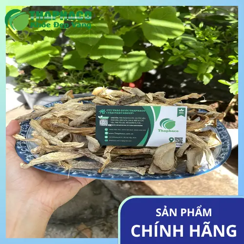 Nấm Lộc Nhung sấy khô của THAPHACO