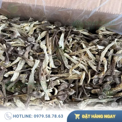 Kiểm tra kỹ bề mặt nấm lộc nhung khô để phát hiện nấm mốc