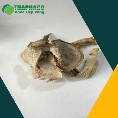 Các cách chế biến nấm lộc nhung phổ biến