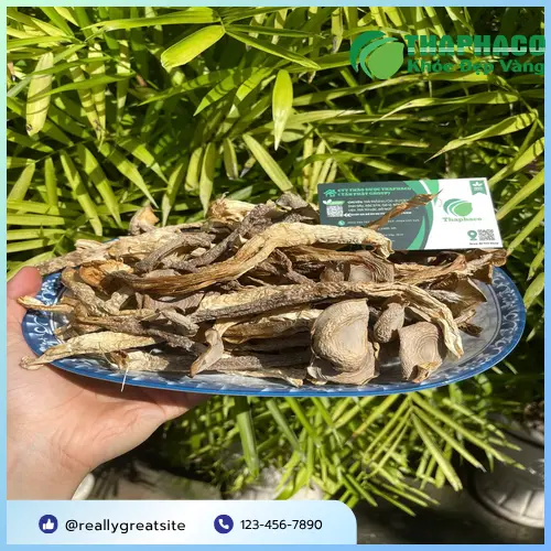 Các cách chế biến Nấm Lộc Nhung Khô