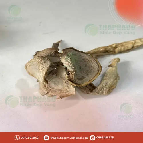 Món nấm lộc nhung kho chay thơm ngon