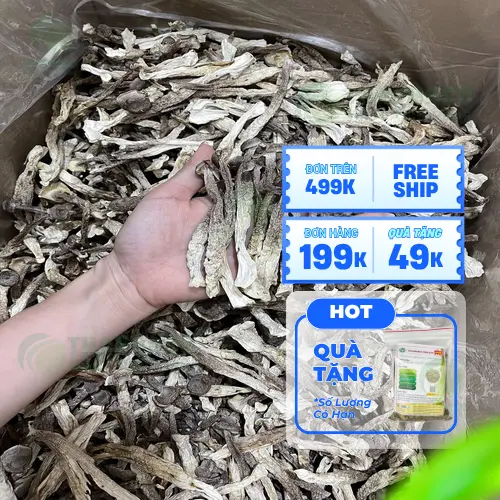 Cách dùng Nấm Lộc Nhung sấy khô