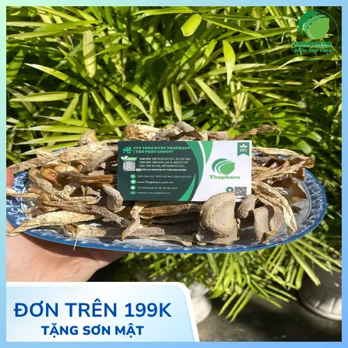 Salad nấm lộc nhung thanh mát