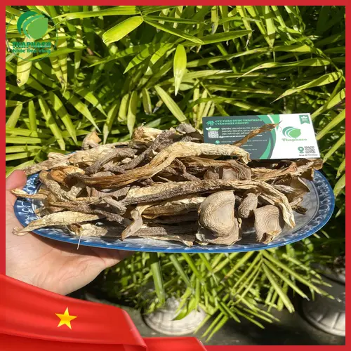 Chất lượng Nấm Lộc Nhung Khô THAPHACO