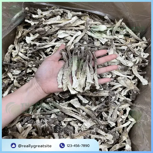 Nấm lộc nhung sấy khô chất lượng tại THAPHACO