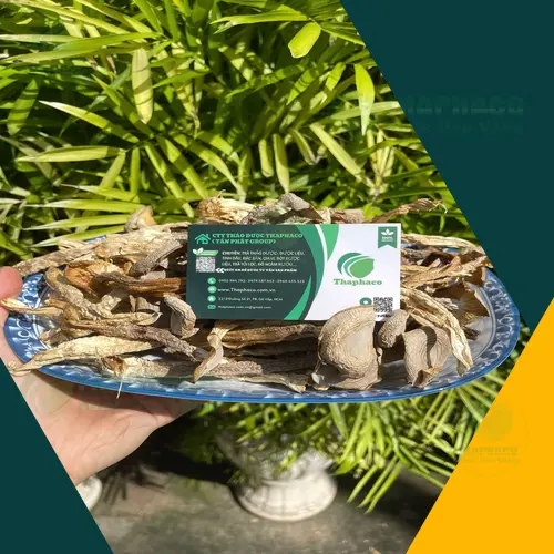 Cách nhận biết Nấm Lộc Nhung Khô chất lượng