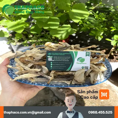 Lưu ý khi chọn mua và bảo quản nấm lộc nhung