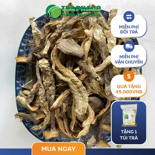 Quy trình đóng gói Nấm Lộc Nhung tại THAPHACO