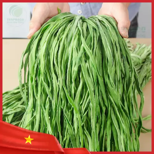 Các món ăn từ rau tiến vua