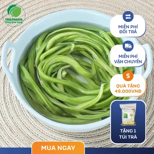 Rau tiến vua khô chất lượng tại THAPHACO