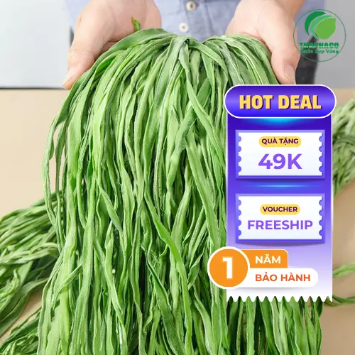Rau tiến vua chất lượng tại THAPHACO