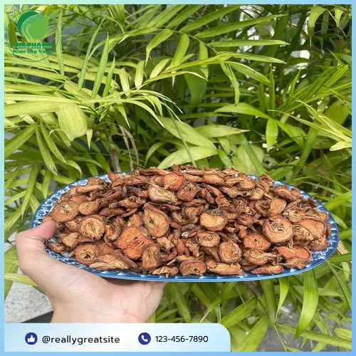Pha trà táo mèo giảm mỡ máu đơn giản