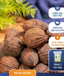 Địa chỉ bán Thảo Quả chất lượng cao tại TP.HCM