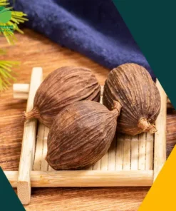 Chỗ Bán Thảo Quả Sấy Khô Uy Tín, Chất Lượng Cao Tại TP.HCM