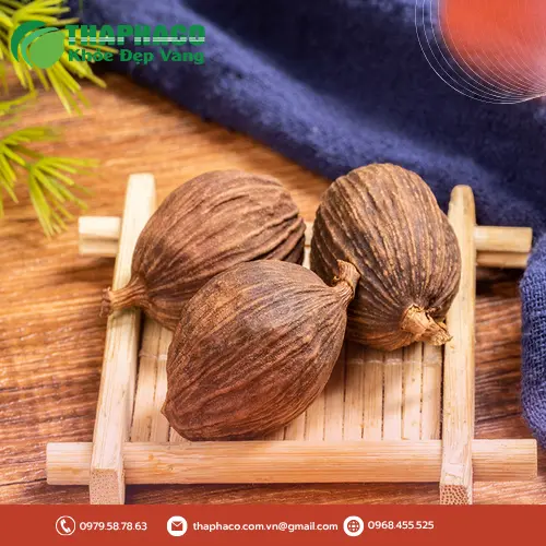 Quy trình sấy khô thảo quả chuyên nghiệp tại Thảo Dược Tấn Phát