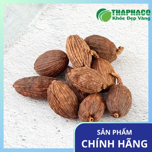 Thảo quả sấy khô đa dạng ứng dụng trong ẩm thực và dược liệu