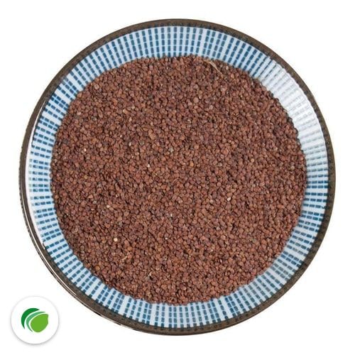 Nguồn gốc hạt đình lịch tại THAPHACO