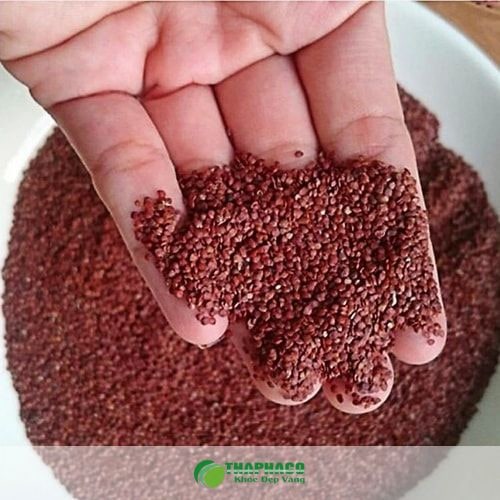 Phân biệt hạt đình lịch với các loại hạt tương tự