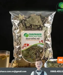 Địa Chỉ Mua Bán Bạch Đồng Nữ Khô Chất Lượng, Uy Tín Tại TP.HCM