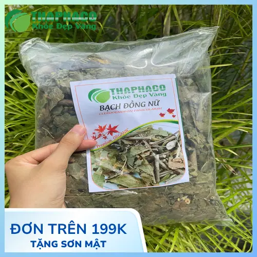 Lá Bạch Đồng Nữ được dùng trong y học dân gian