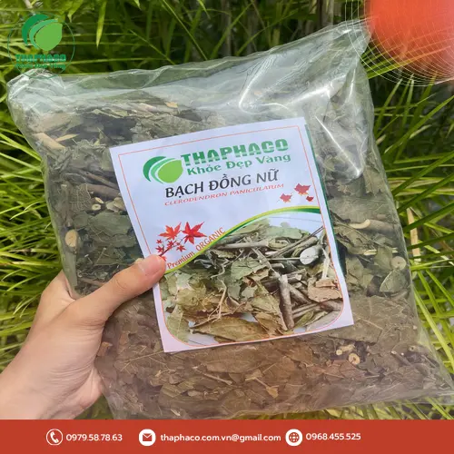 Những lưu ý quan trọng khi sử dụng Bạch Đồng Nữ