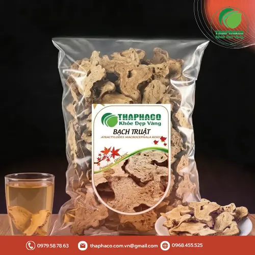 Bạch Truật là gì? Đặc điểm của củ Bạch Truật