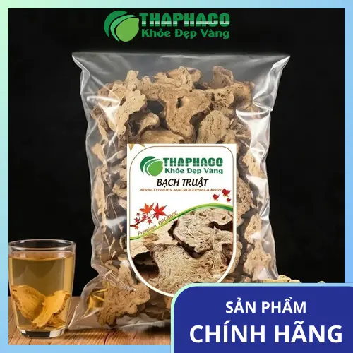 Hình ảnh Bạch Truật khô chất lượng tại THAPHACO