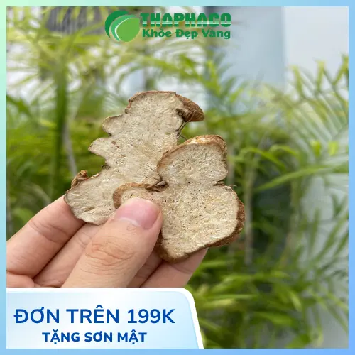 Bạch Truật hỗ trợ tiêu hóa