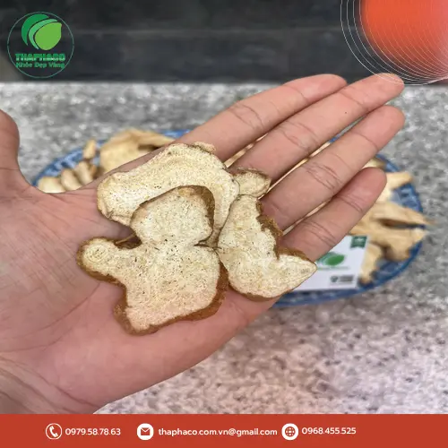 Bạch Truật hỗ trợ an thai