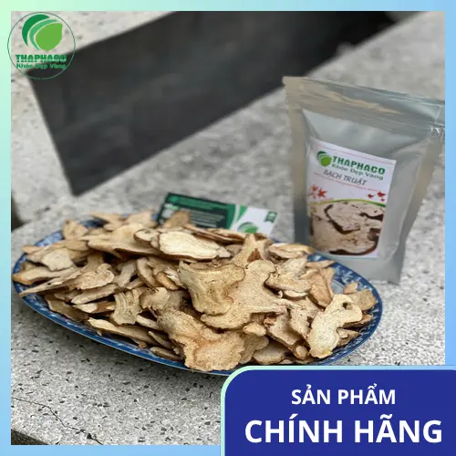 Bạch Truật và các công dụng hỗ trợ trong Y học cổ truyền