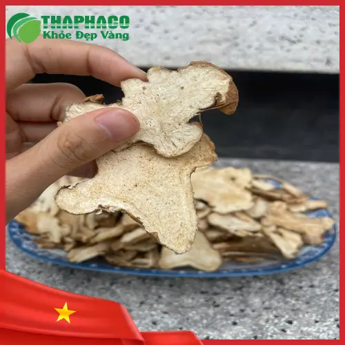 Bạch Truật chất lượng tại THAPHACO