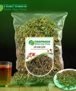 1kg Cà Gai Leo Sấy Khô Giá Tốt – Lựa Chọn An Tâm Từ THAPHACO