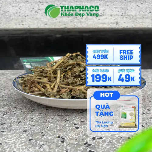 Cây cà gai leo khô tự nhiên