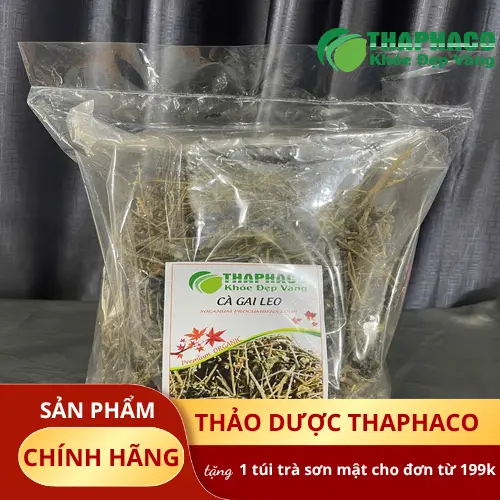Quy trình sấy khô cà gai leo tại THAPHACO